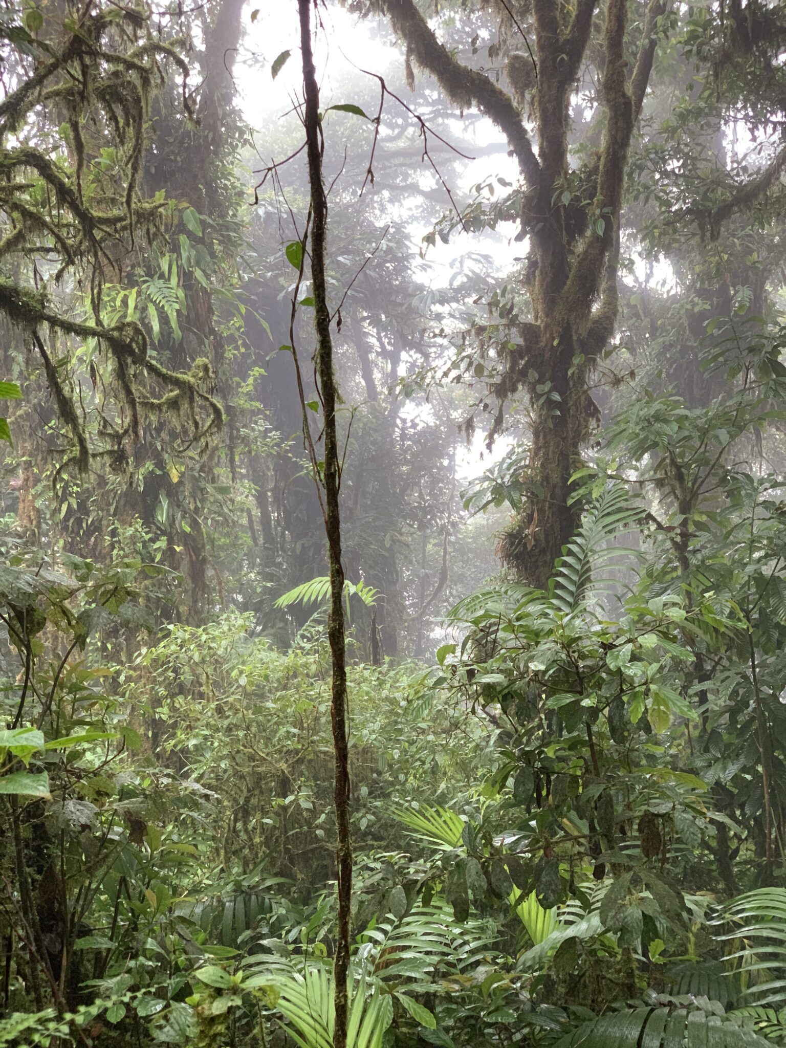 Costa Rica