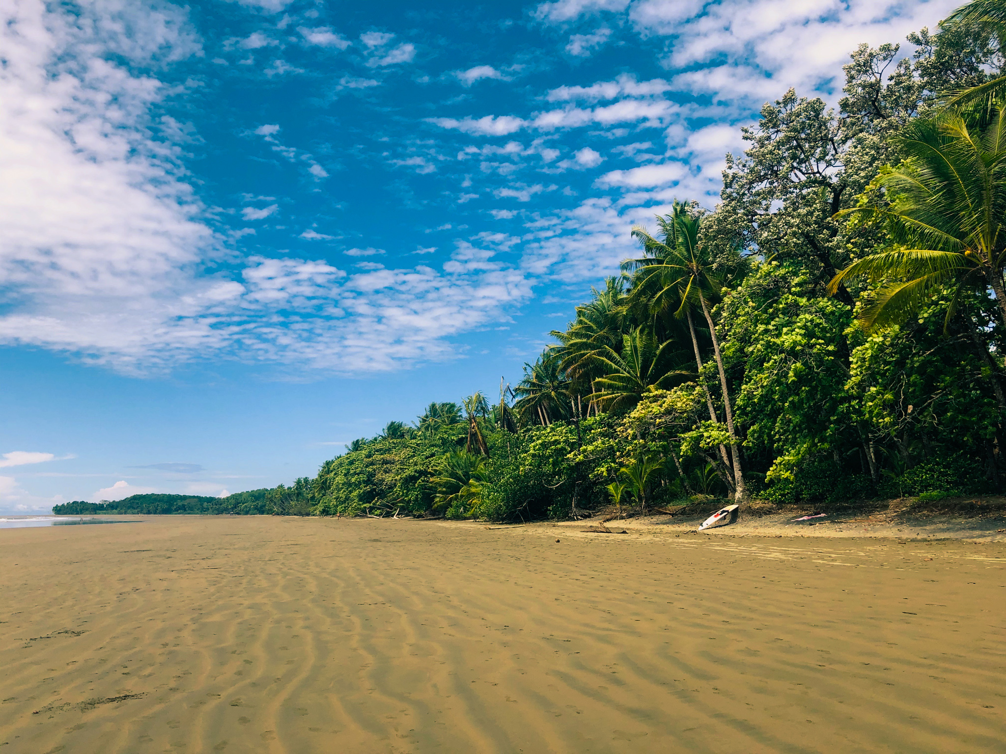 Parque Marino Ballena