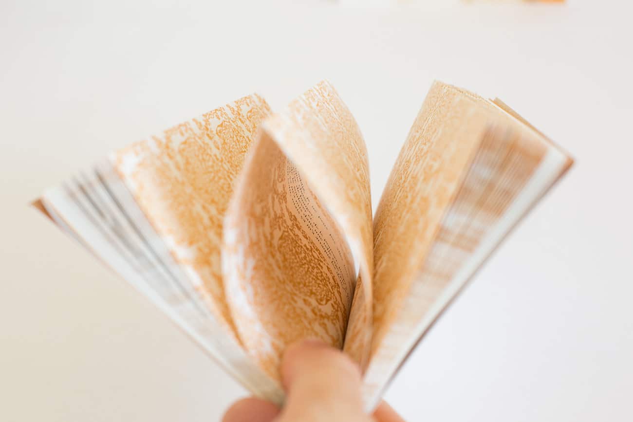 Photo de l'édition tendance négative du livre "le papier peint jaune" prise par Camille Cier