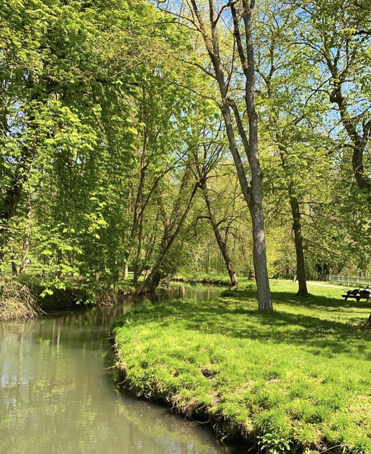 Domaine de Chamarande, forêt avec rivière