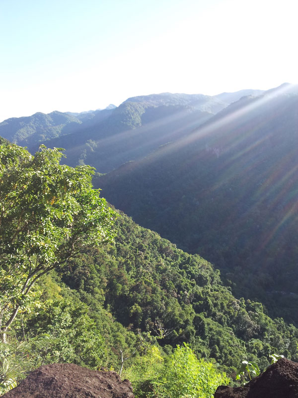 La propriété de Dorgemont en Guadeloupe, panorama